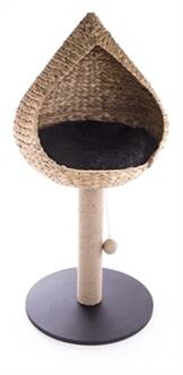 🌿 Martin Vietnam Krabpaal met Mand – Waterhyacint – 50 cm