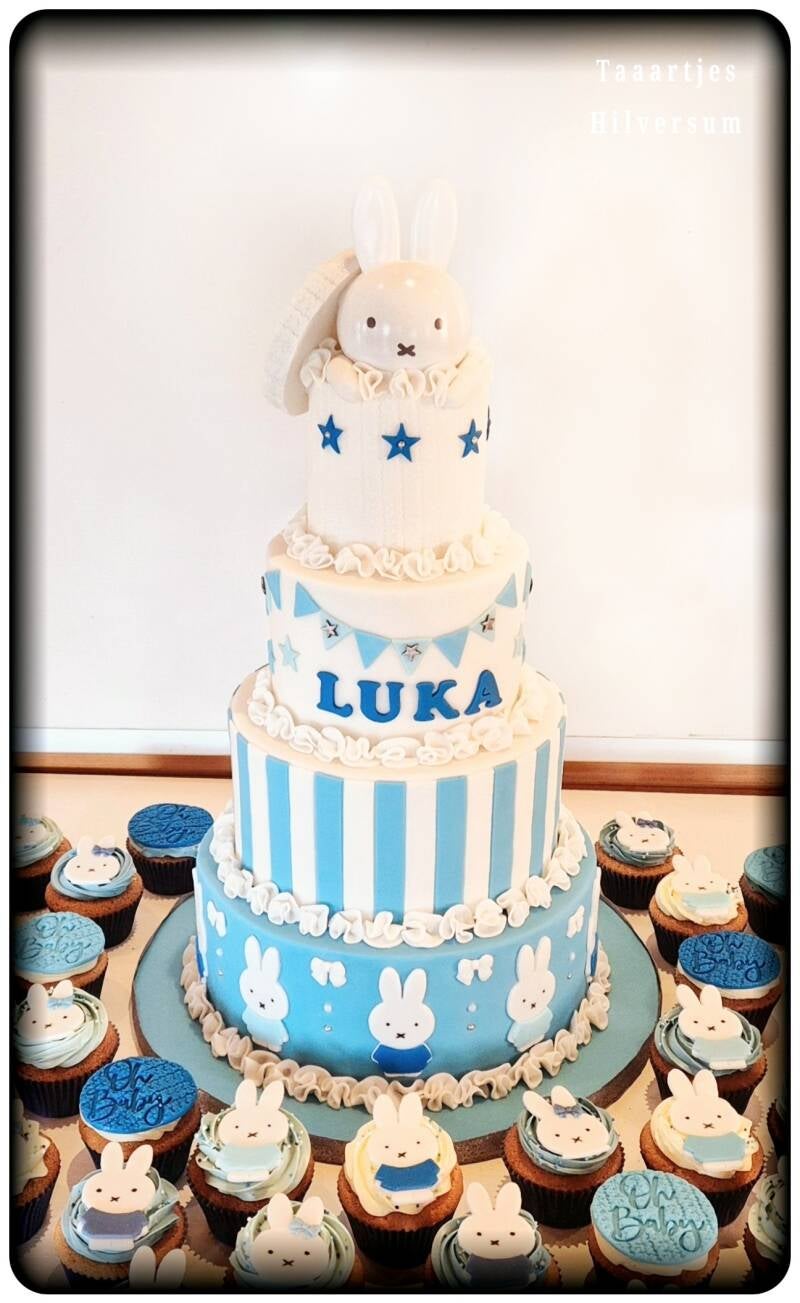 Nijntje taart voor Luka