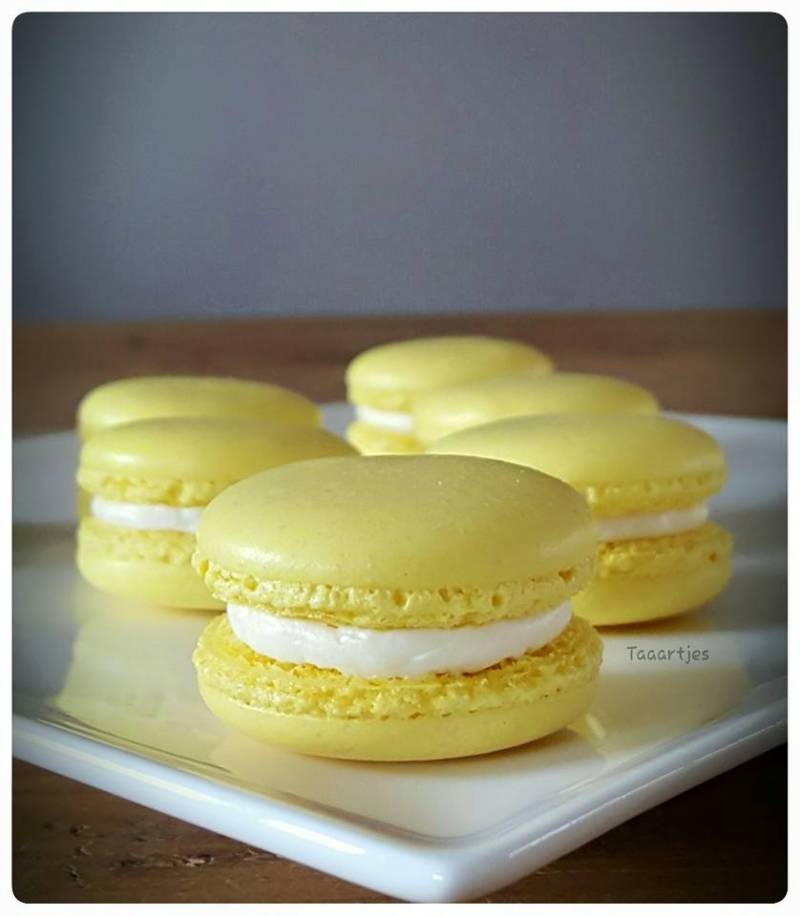 citroen macarons