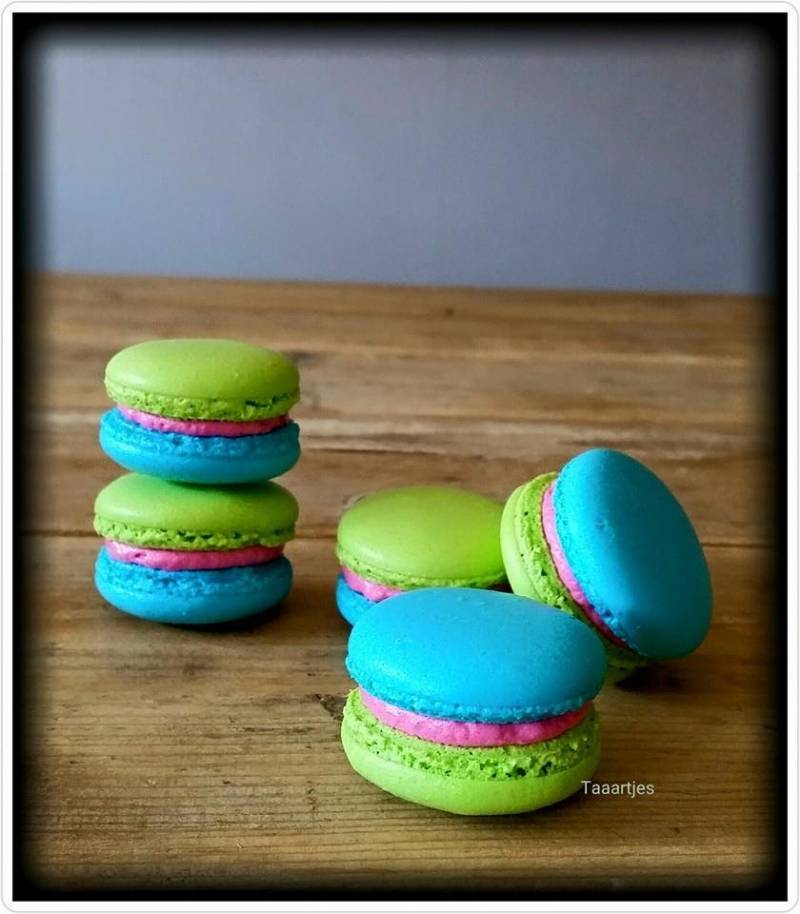 groen blauw roze macarons