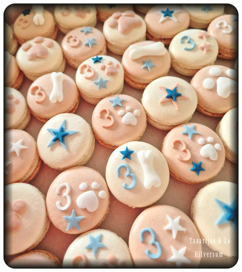 Macarons hondje paw patrol thema