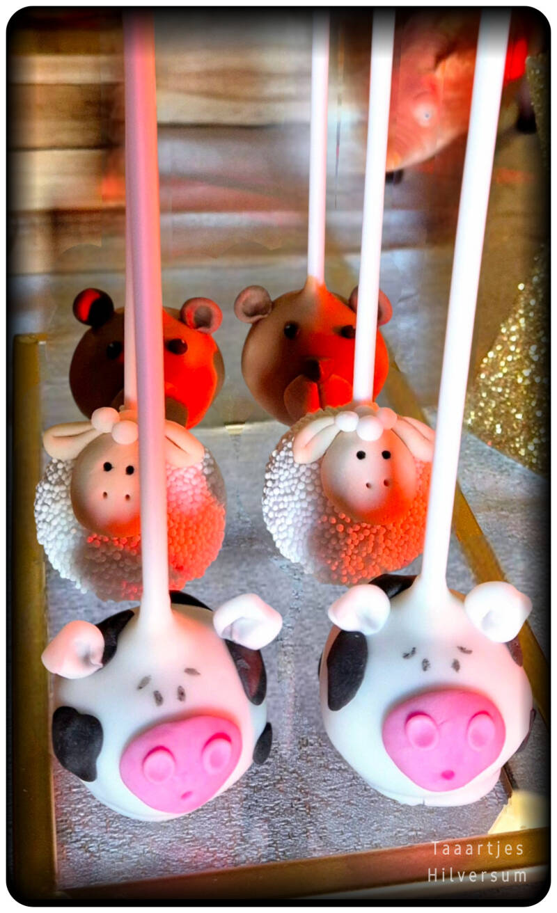 koeien cakepops