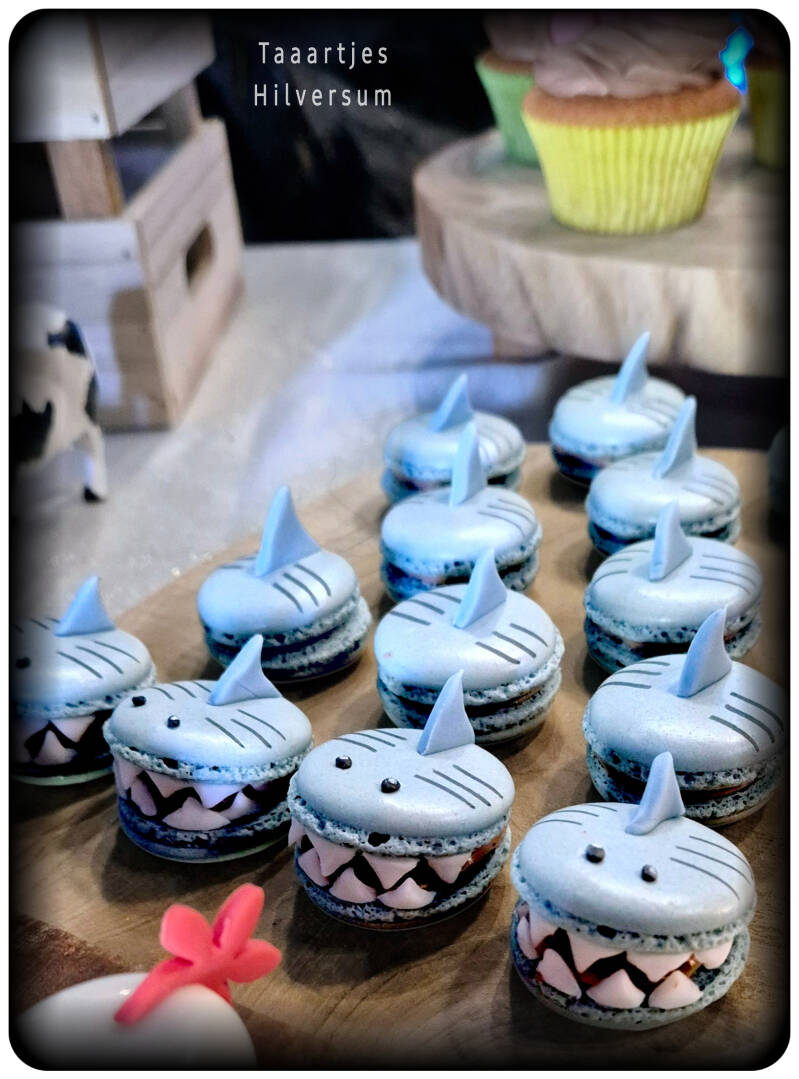 haaien macarons