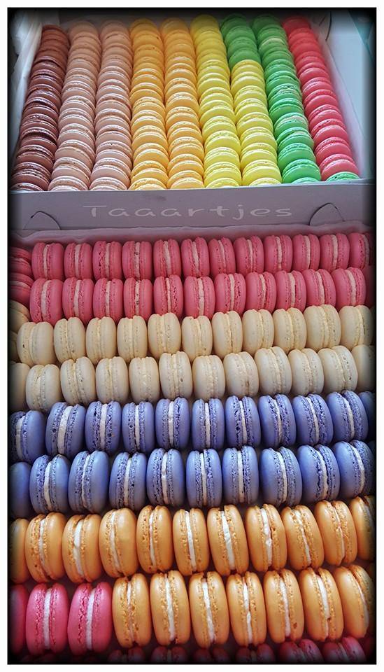 macarons macarons