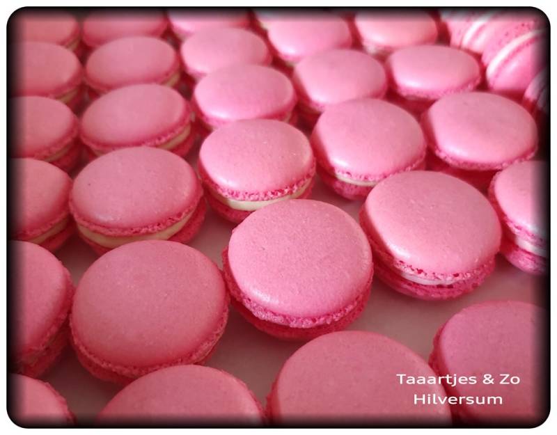 macarons roze pink