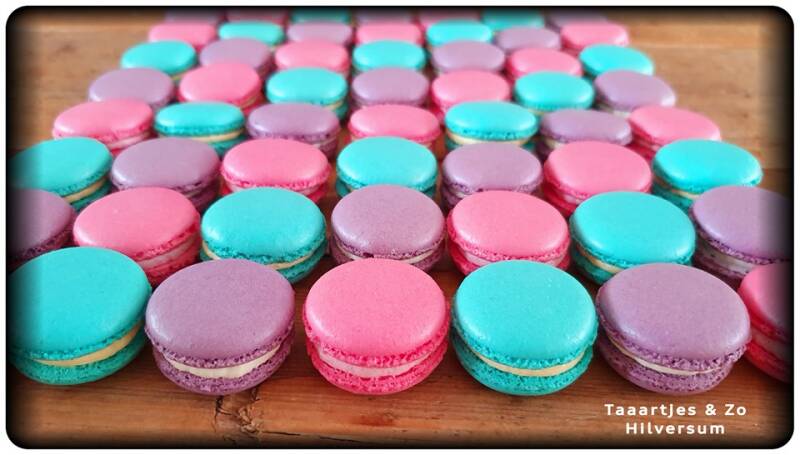 macarons turquoise paars roze