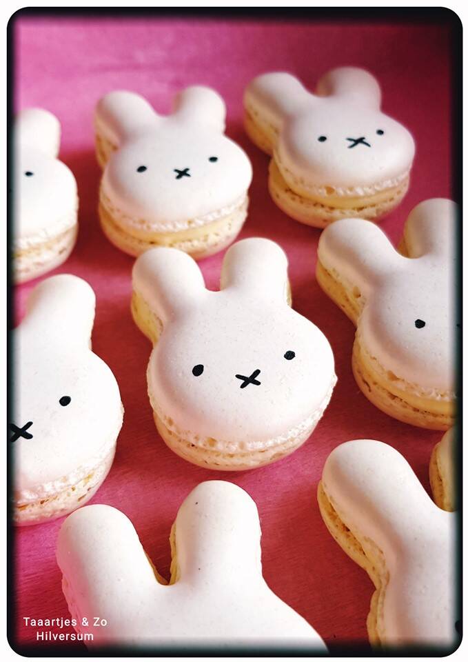 nijntje macarons