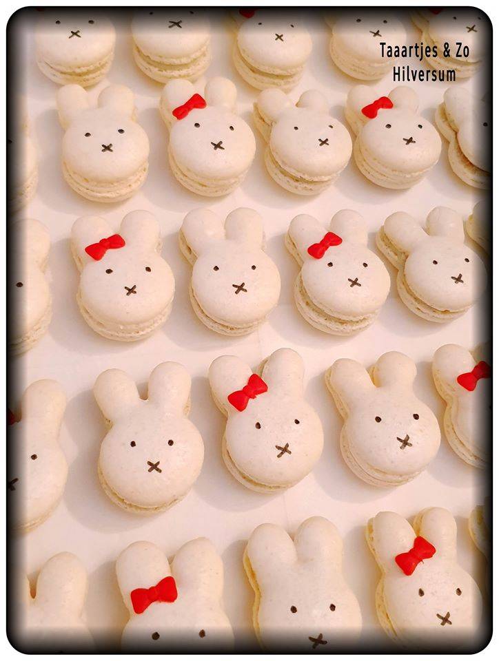 nijntje met strikje macarons