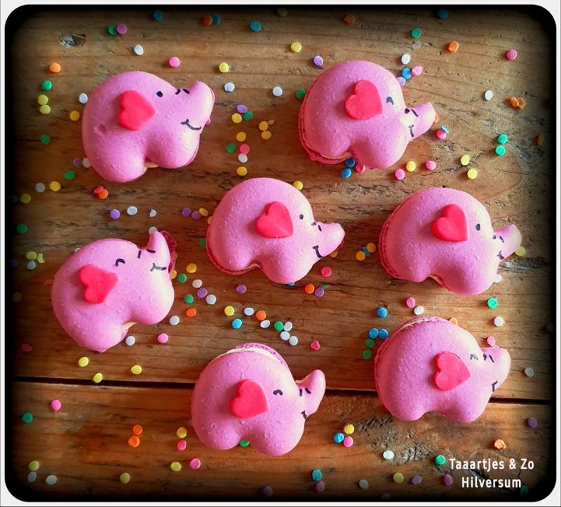 olifantjes macarons