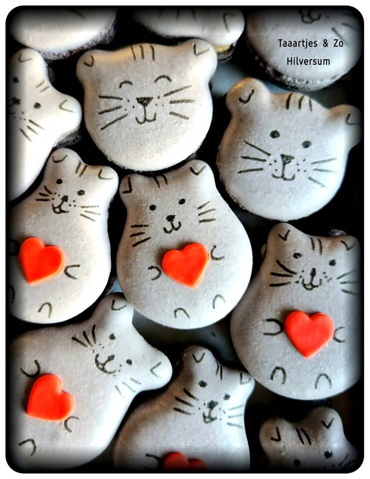 poesjes macarons cats