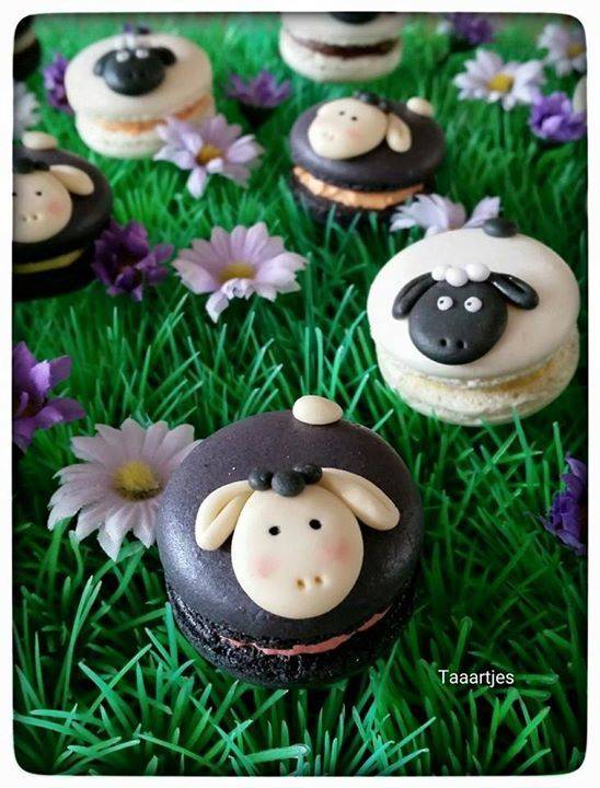 schapen macarons sheep