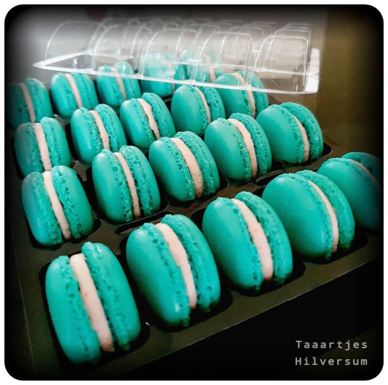 turquoise macarons