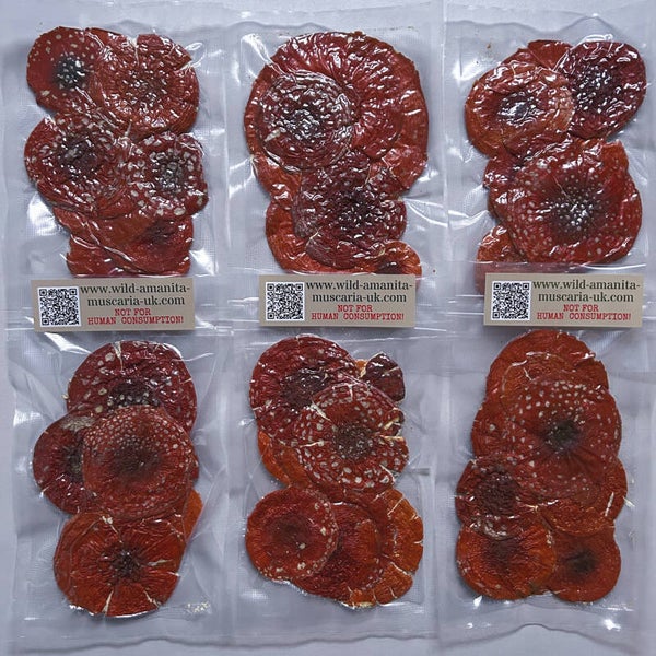 Dried Mushrooms 100 g VIP