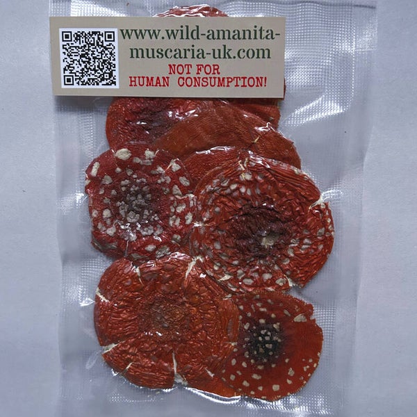 Dried Mushrooms 20 g VIP