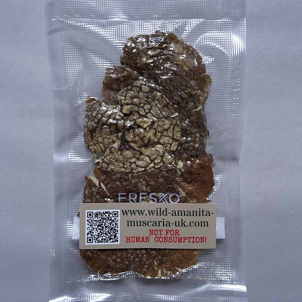 Dried Mushrooms 20 g Regalis