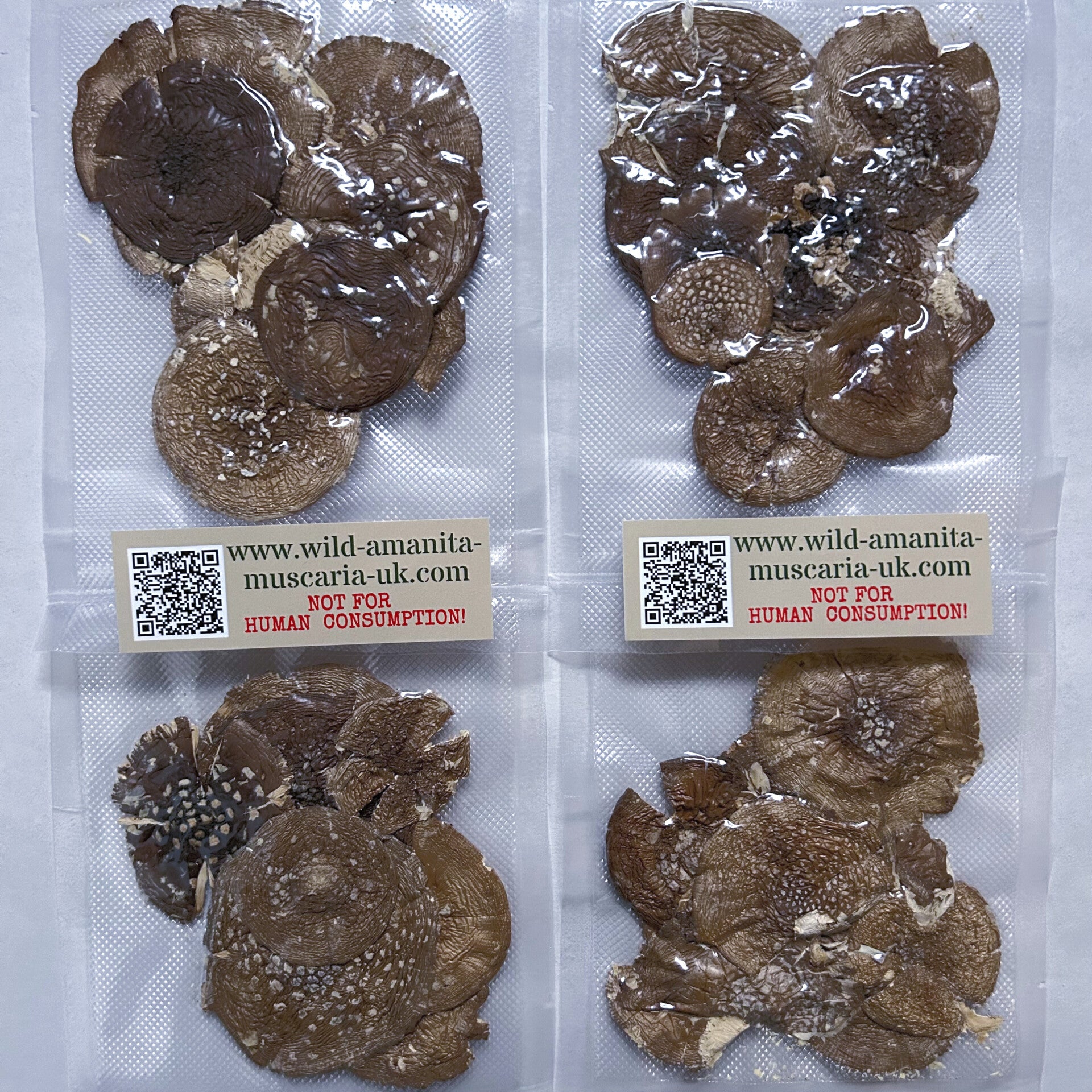 Dried Mushrooms 30 g PANTER