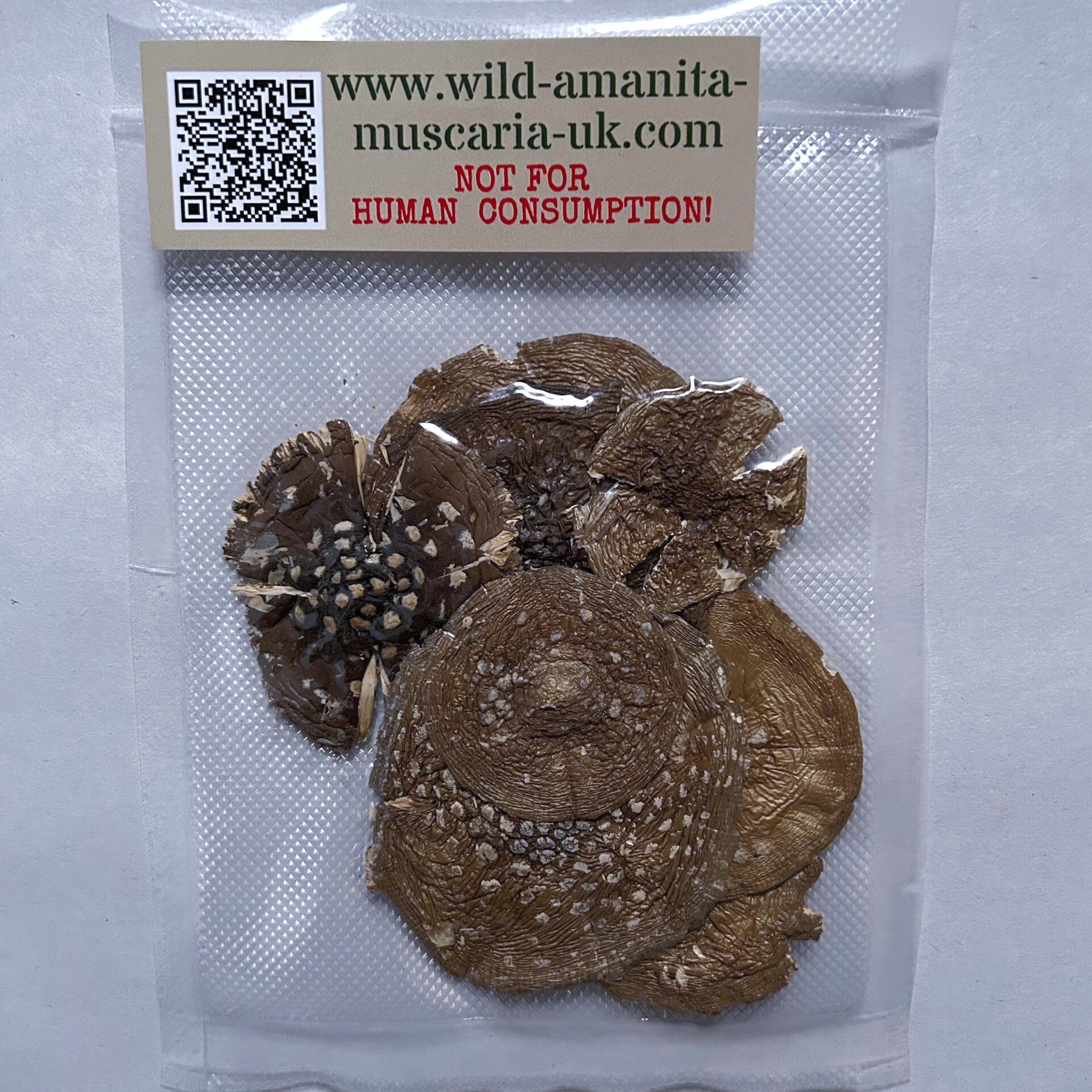 Dried Mushrooms 10 g PANTER
