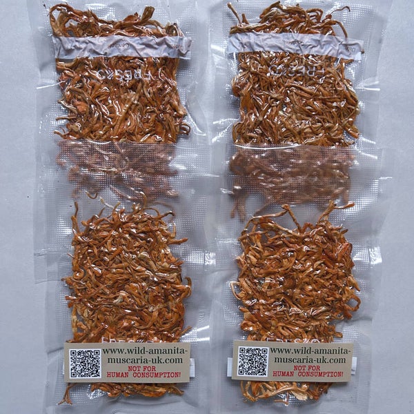 Dried Mushrooms 90 g Cordyceps