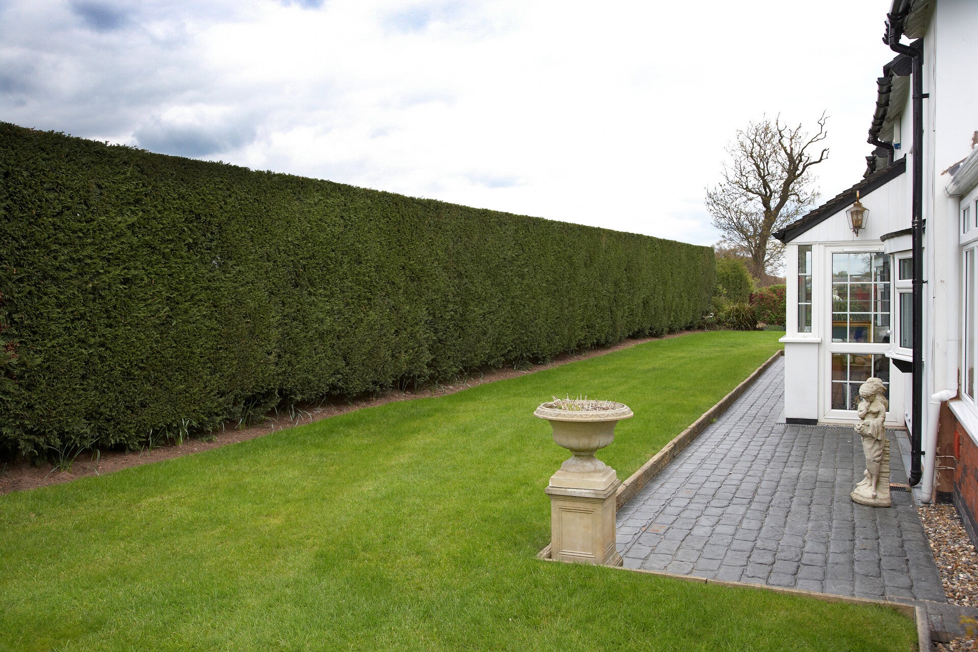 hedge cutting yeovil, hedge maintanace 