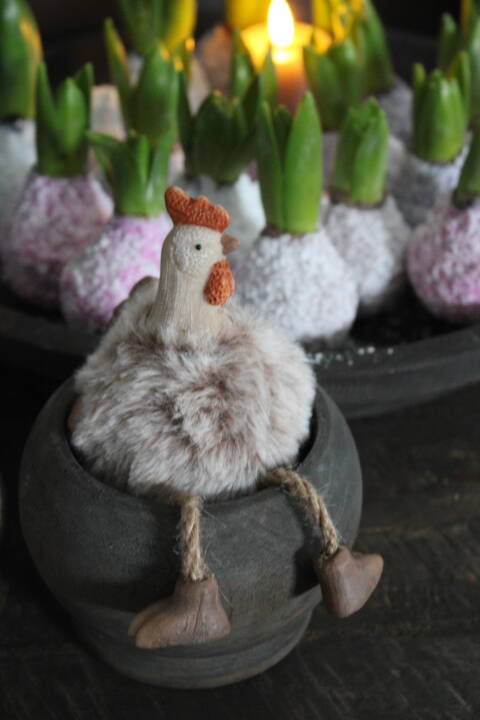 Kip met jasje aan en hangende pootjes