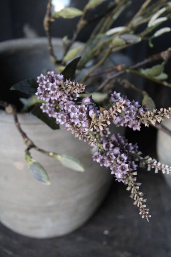 Pieris purple zijdebloem Brynxz