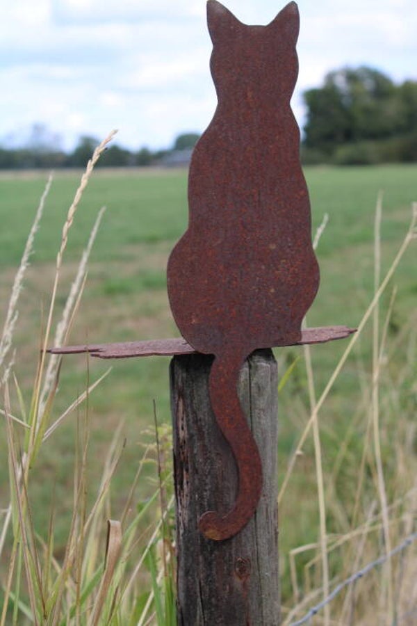 Kat staal roest