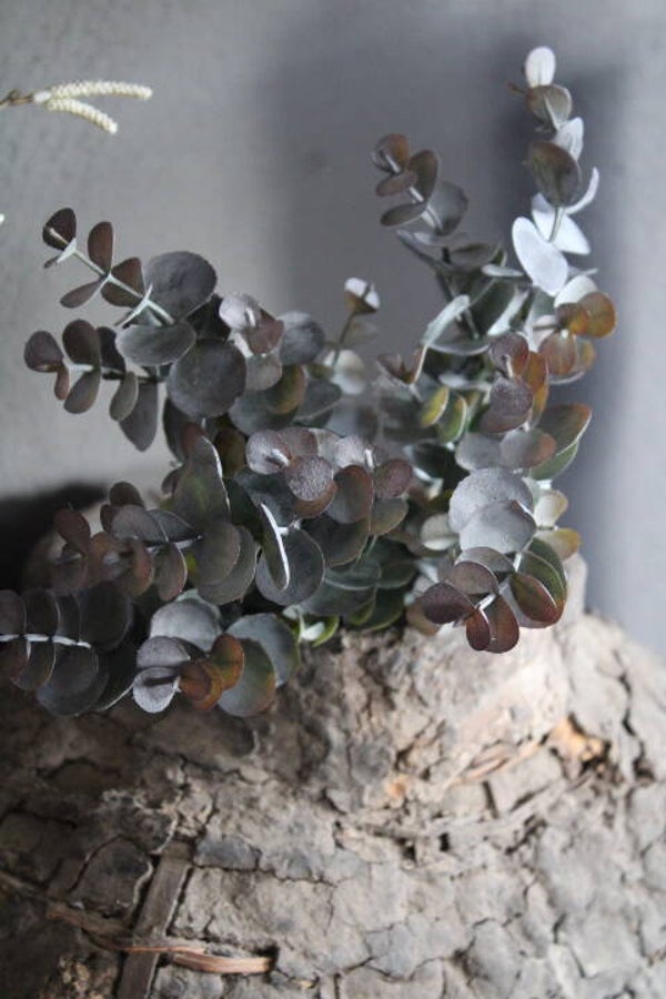 Kunst Eucalyptus bosje