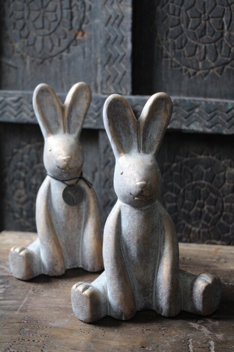 Stoere, charmante haas in de kleur jewel van Brynxz.