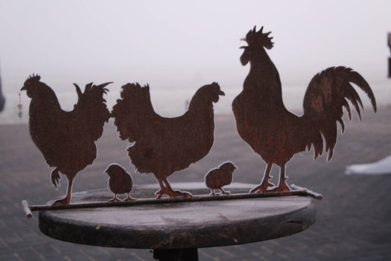 Roeststalen kippen / haan, hen & kuiken
