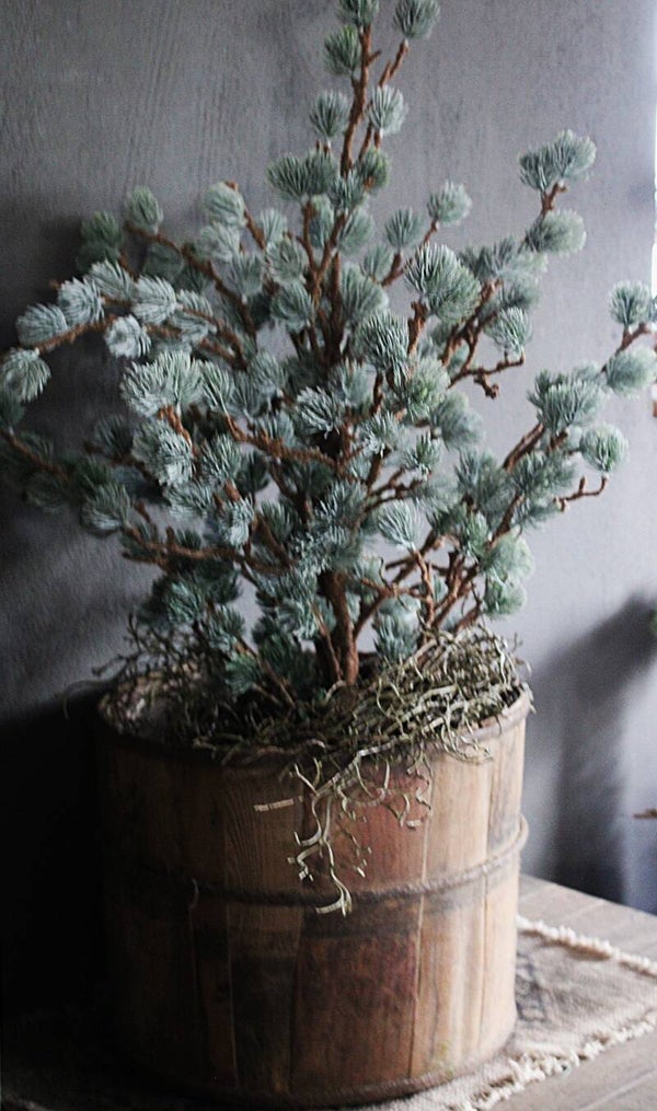 X-tree Larix grey green maat S Brynxz