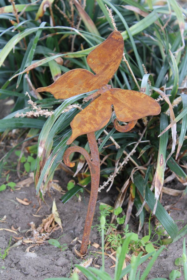 vlinder op mini krul steker roest staal