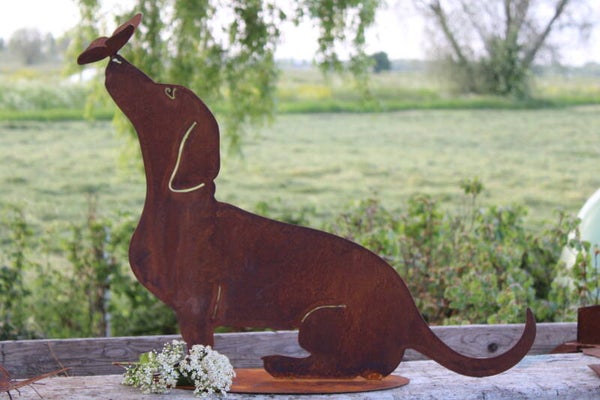 Hond teckel met vlinder op neus roest staal