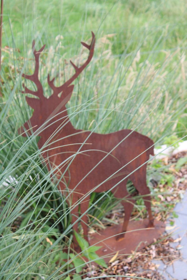 Hert staal roest xl op plateau