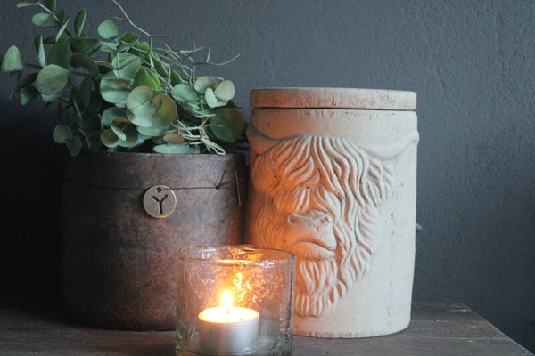 Pot and Top Scotty Majestic taupe Brynxz