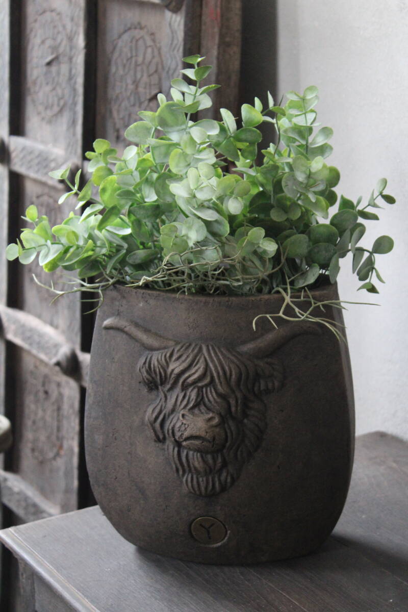 Eucalyptus green 35 cm Brynxz