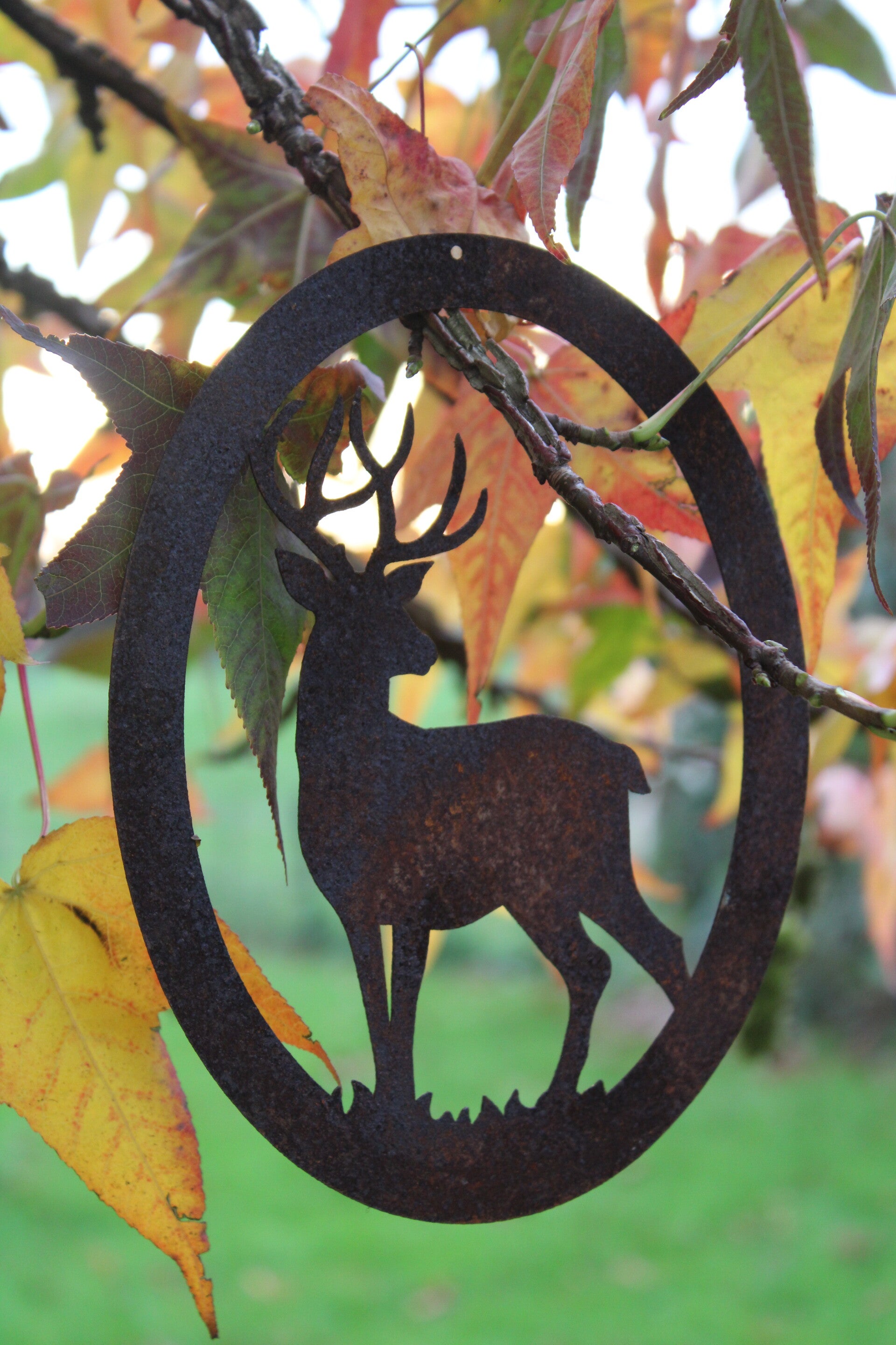 Ovale hanger met hert roest staal