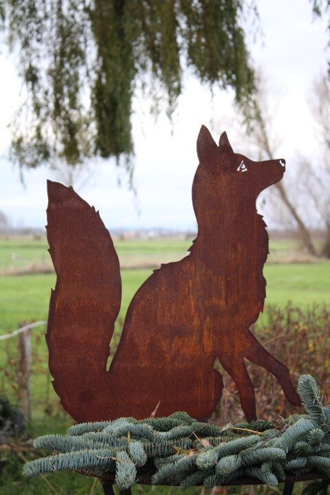 Zittende vos op plateau roest staal