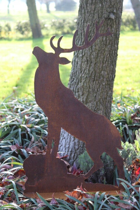 Hert brullend op plateau roest staal