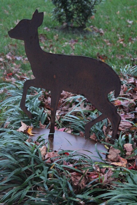 Lopende ree op staander roest staal