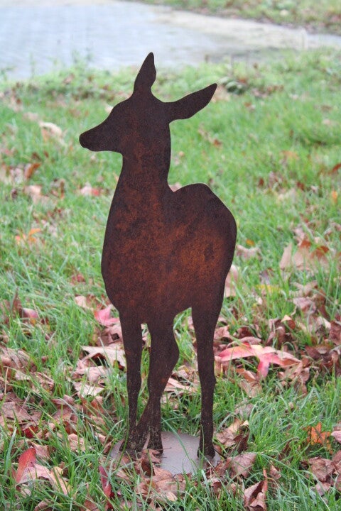 Ree van voren op plateau roest staal