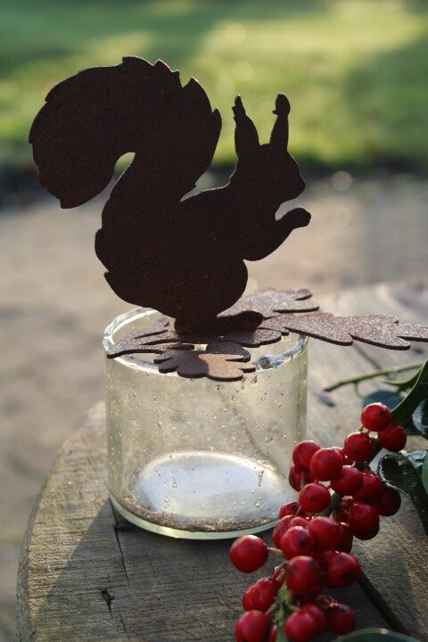 Eekhoorn op eikenblad roest staal