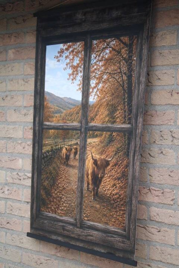Tuinposter Hooglanders in herfstlandschap | landelijke tuindecoratie