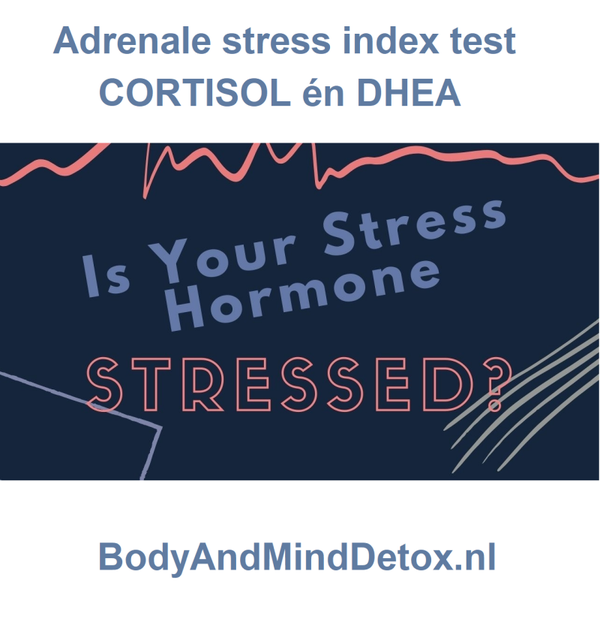 Adrenale Stress Index Speeksel Test: Cortisol én DHEA