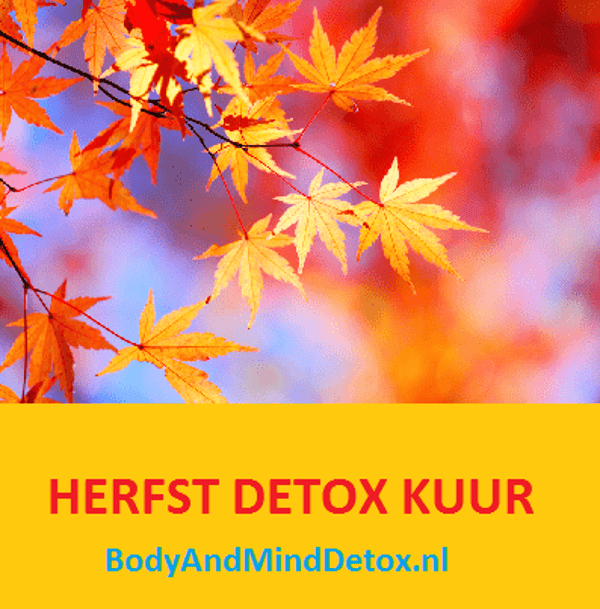 Herfst Detox Kuur
