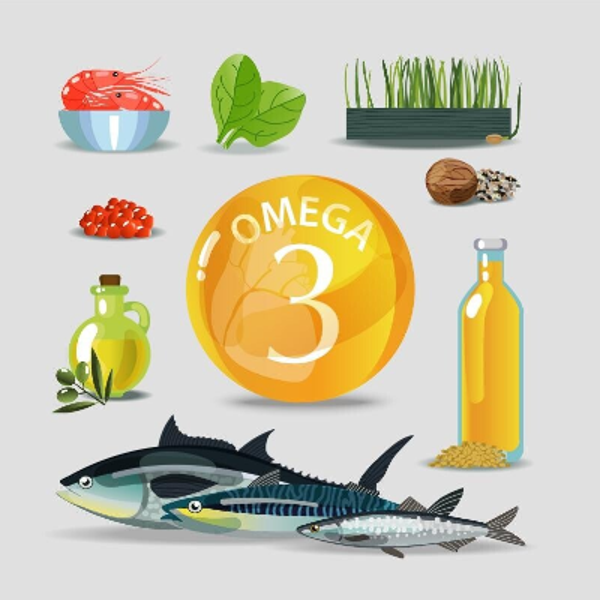 Vetzuur ratio test omega 3