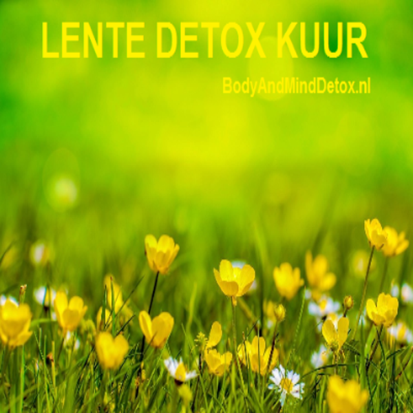 Lente Detox Kuur