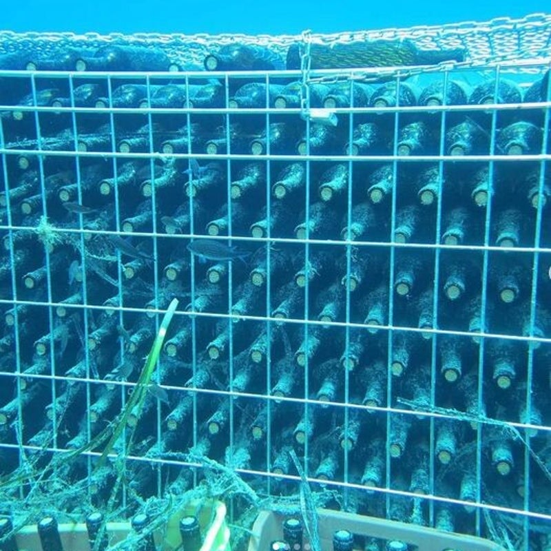 bestevansamos-wijnonderwater.jpg