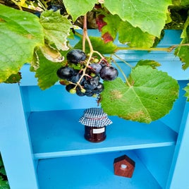 beste-van-samos-1-potje-jam-nog-in-de-kast-standard.jpg