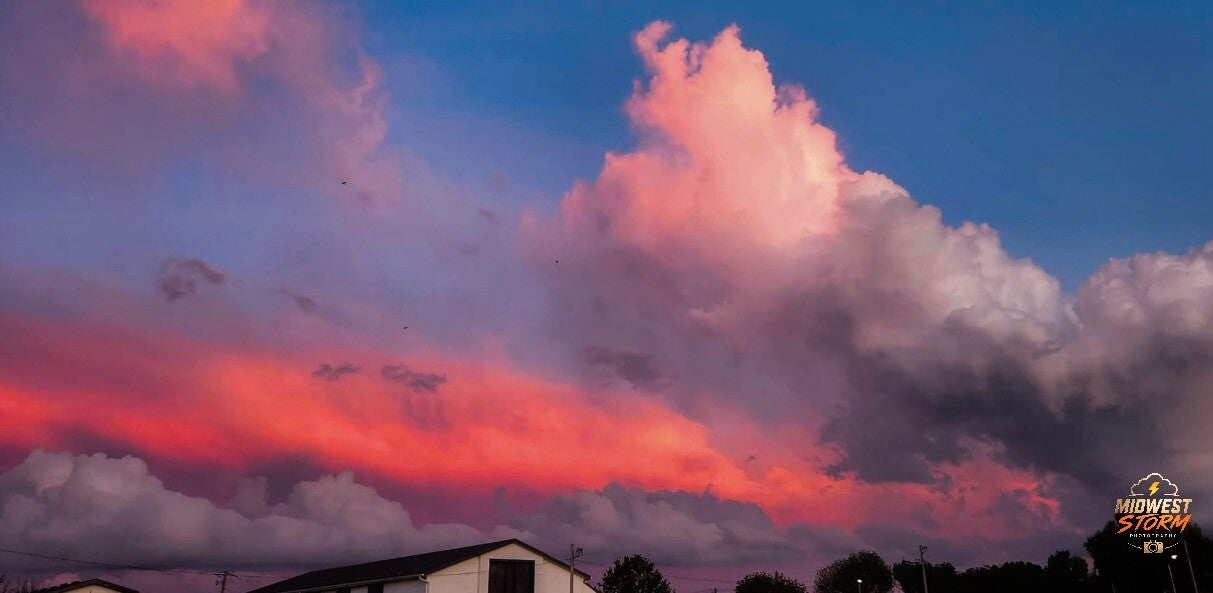 Painted Skies