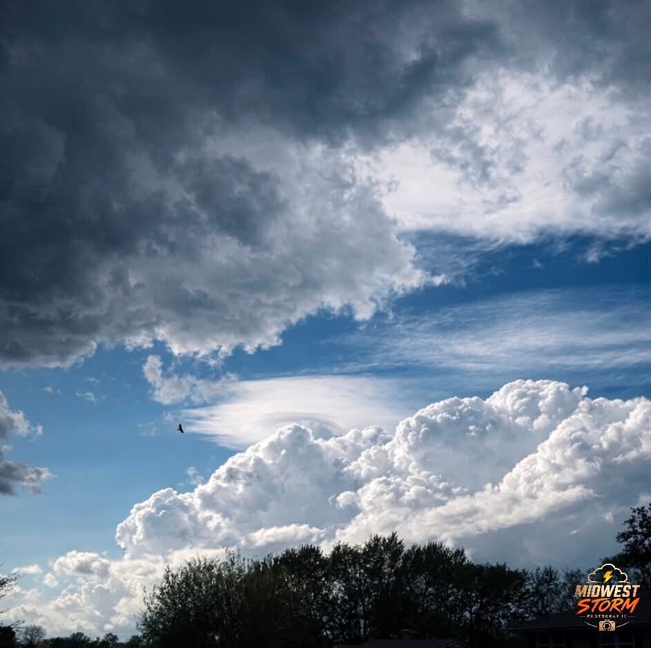 Under a Changing Sky